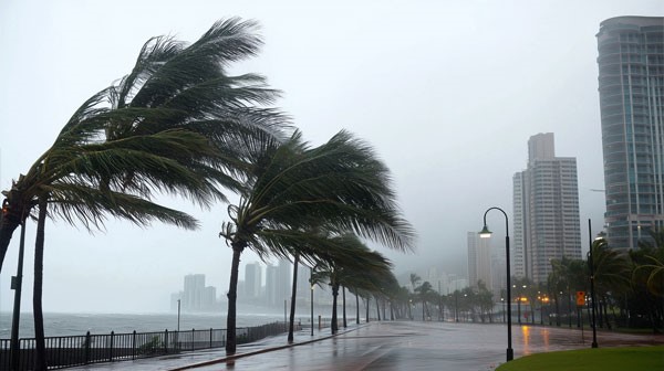 A Stormy Day In Florida